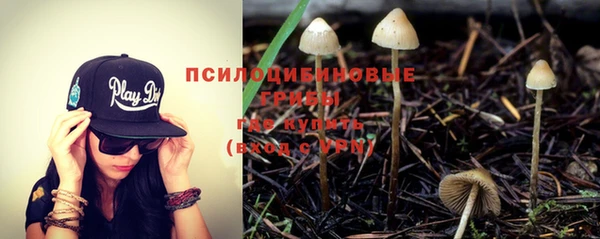 СК Абаза
