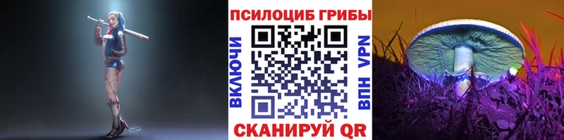 Галлюциногенные грибы Psilocybine cubensis  продажа наркотиков  Сысерть 